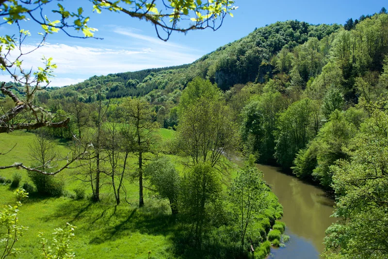 Randonnée Bois de Linars - Sentier ENS