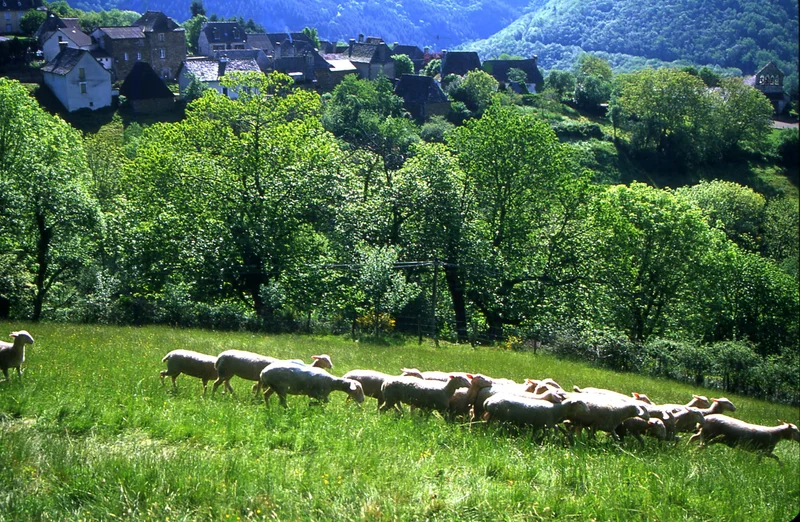 Randonnée Le sentier des deux vallées · Murols