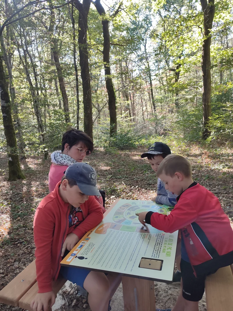 Randonnée Sentier d'interprétation du Bois du Bruel — Le Bas Ségala