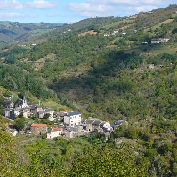 Randonnée Sous les châtaigniers : Un trésor dinaire - Variante Famille