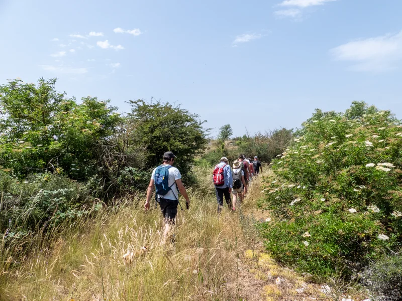 Randonnée GR® de Pays Tour du Larzac Méridional - Tour sur les pentes de la Séranne