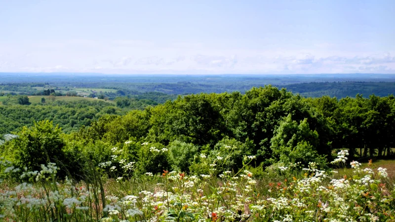 Randonnée Le sentier du ruisseau de Bor · Campuac