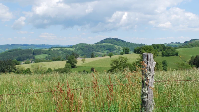 Randonnée Le vallon d'Espeyrac · Espeyrac
