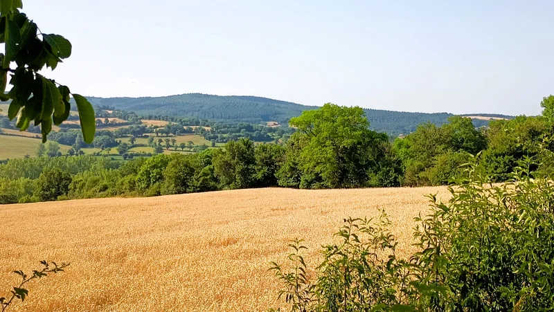Randonnée Gages : entre causse et vallée