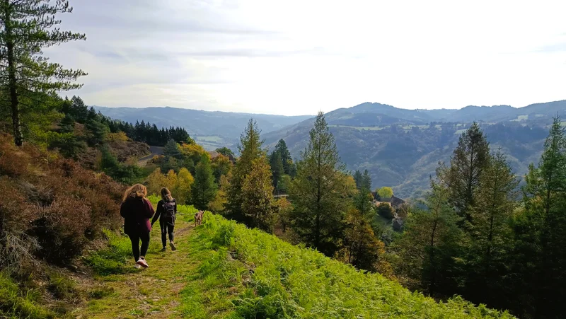 Randonnée Au cœur du vignoble du Fel · Le Fel