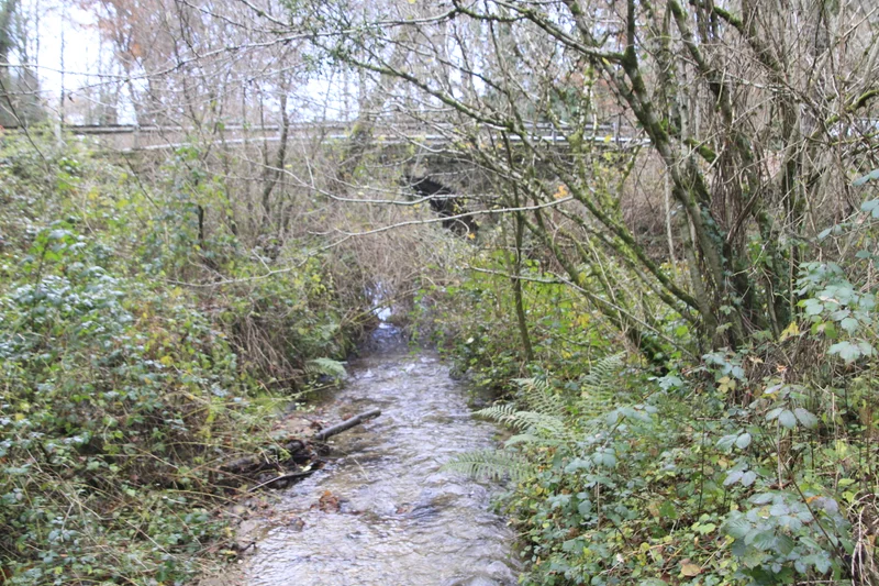Randonnée Les trois bras du Jaoul — La Capelle-Bleys
