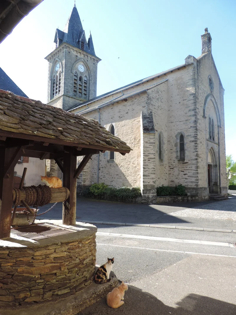 Randonnée La vallée du Vernhou et Campels — La Salvetat-Peyralès