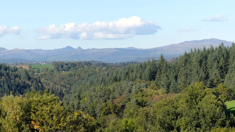 Randonnée La forêt de Seyrolles · Saint-Hippolyte