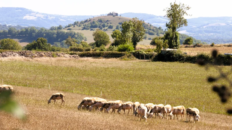 Randonnée Balade à l'ombre du Calvaire