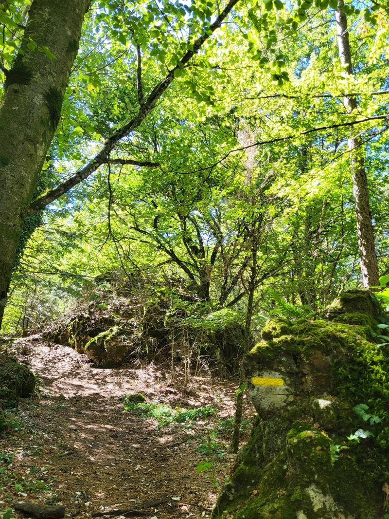 Randonnée La Haute Vallée de La Lergue