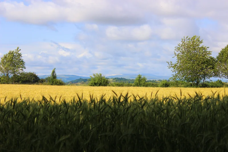 Randonnée Le plateau de Thérondels
