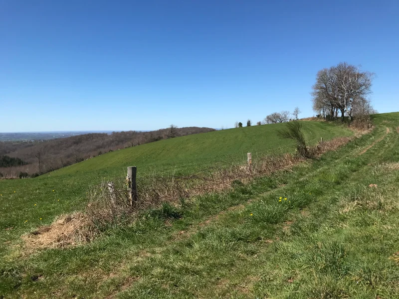 Randonnée Des hauteurs du Buenne à la vallée de l'Alze et de la fon · Clairvaux-d'Aveyron