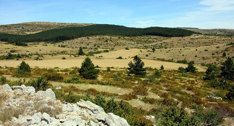 Randonnée A travers le Causse