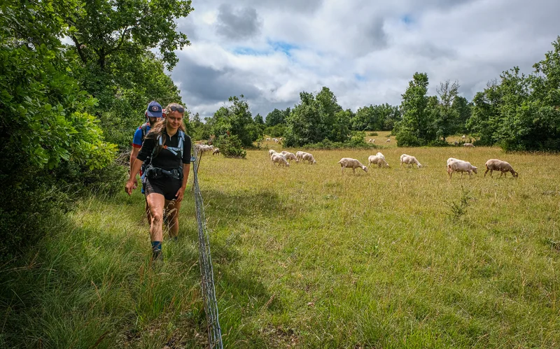 Randonnée A la découverte du Larzac à pied