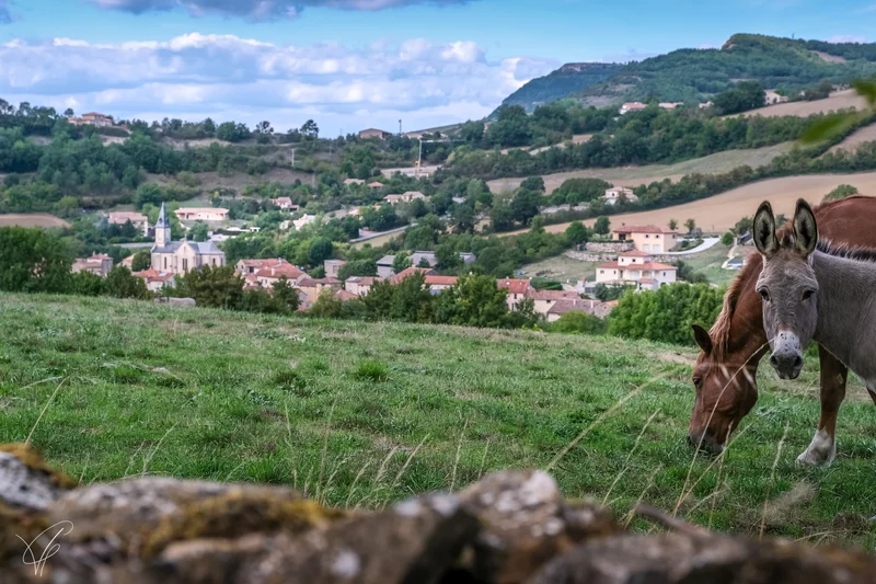 Randonnée Le tour d'Alzac · Saint-Jean-d'Alcapiès