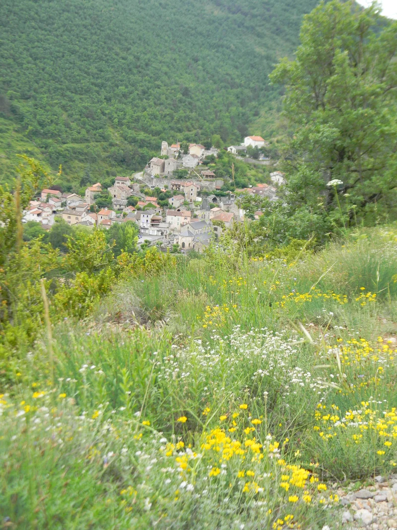 Randonnée La Blaquière-St-Jean-de-Liverset