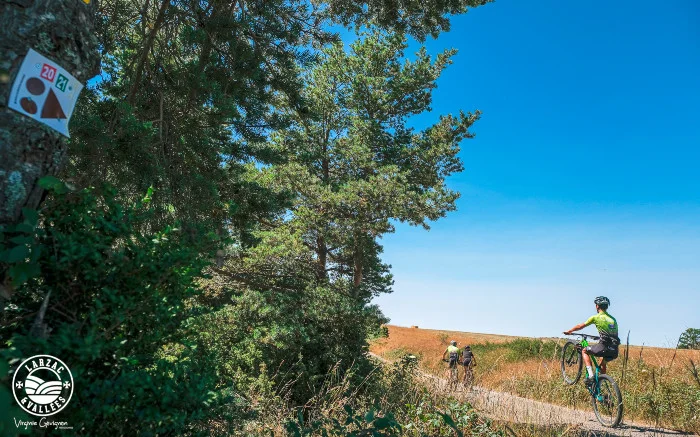 VTT VTT N°56 - Le Causse Bégon · Causse-Bégon