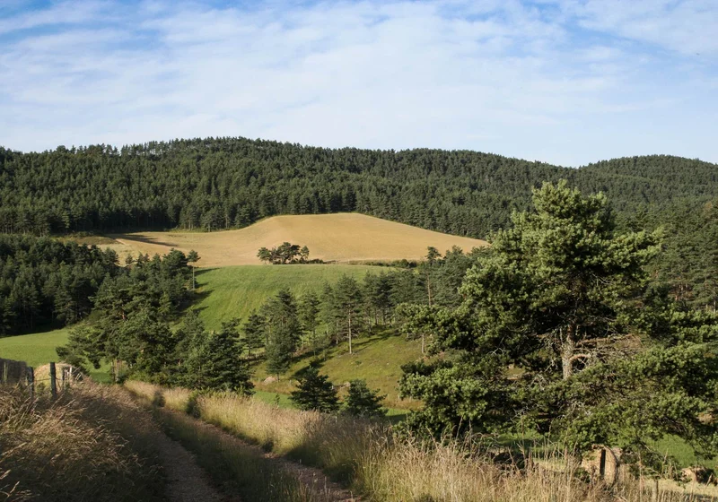 VTT Le Mazelet - VTT n°1