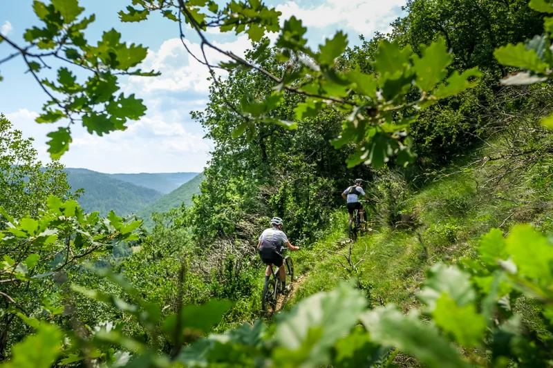 VTT VTT N°14 - Au grand air