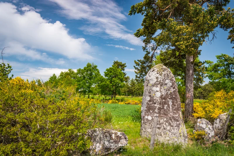 VTT Le Menhir de Pinjo Chabre - VTT n°12