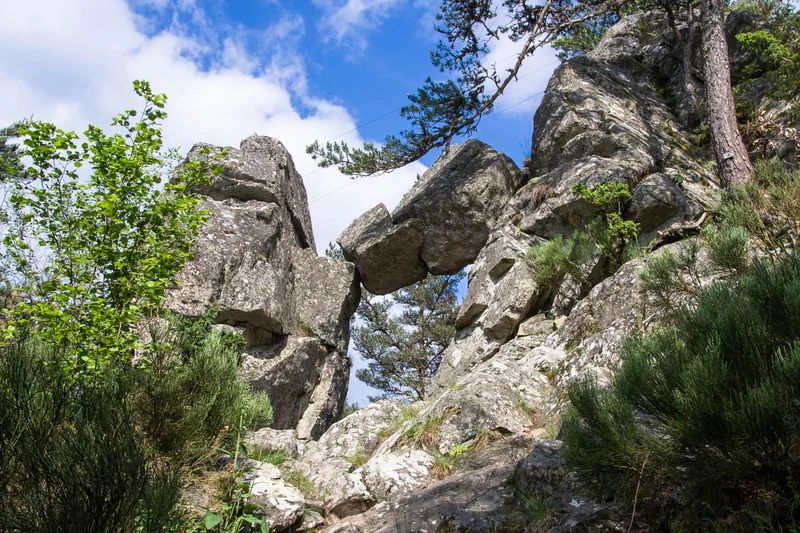 VTT La Porte des fées - VTT n°14 · Le Malzieu-Ville