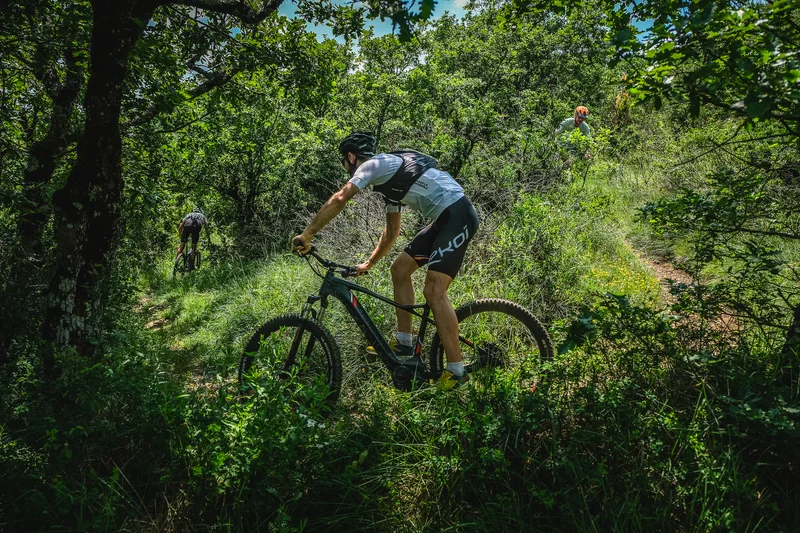 VTT VTT N°31 - Le balcon d'Arnac