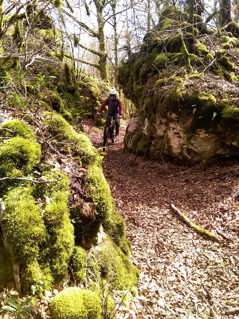 VTT VTT N°71 - Le tour du Lac