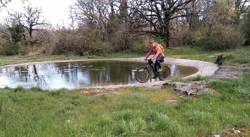 VTT VTT N°74 - Circuit Le tour de Favet