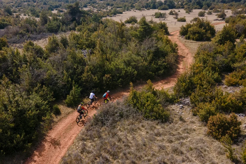 VTT VTT N°72 - Peyre Bertrand