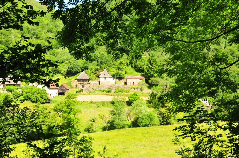 VTT VTT FFCT du Carladez - La forêt de Murols