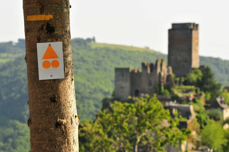 VTT VTT FFCT  du Carladez -Les cimes du château de Valon