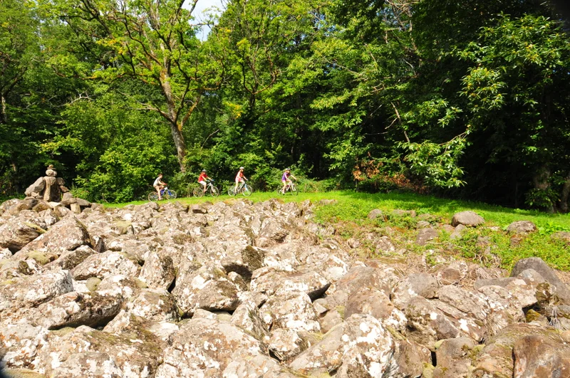 VTT VTT FFCT du Carladez n°8 - La coulée de lave et l'étang de la Fage