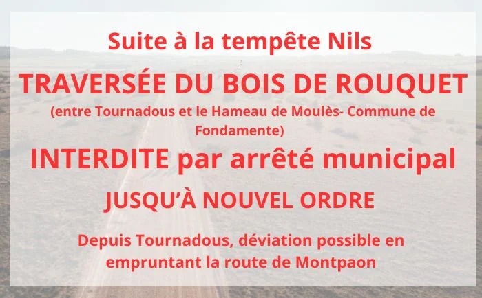 Vélo de route Gravel N°24 - A la découverte des cités templières