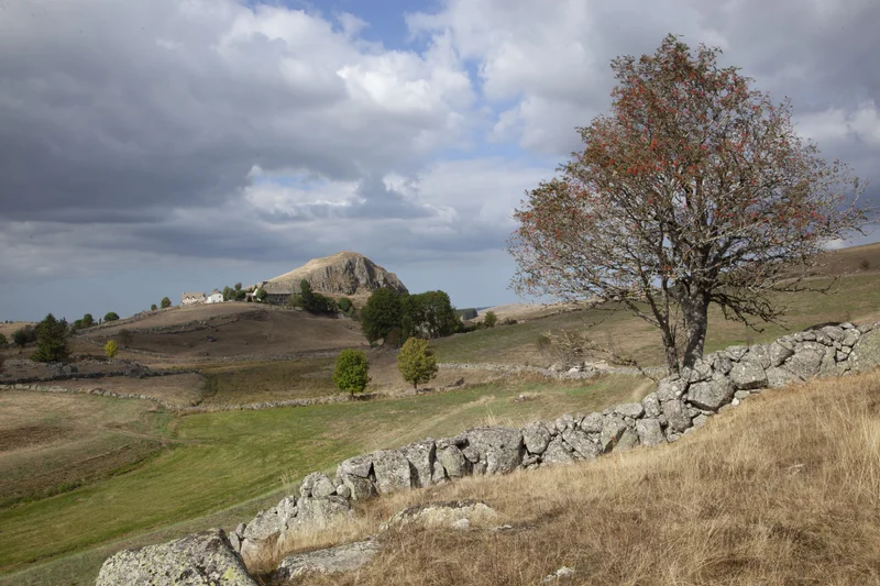 Vélo de route En passant par le Parc Naturel Régional de l'Aubrac