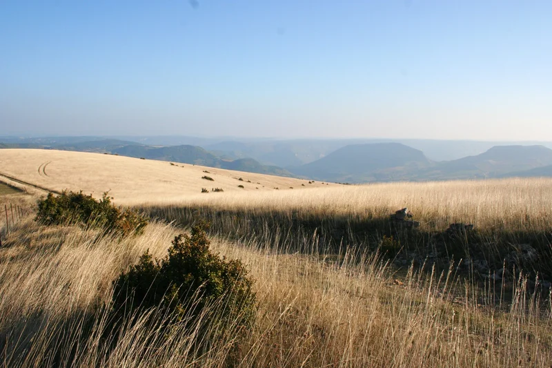 Vélo de route Gravel N°03 - Des Sources de l'Aveyron jusqu'au Causse