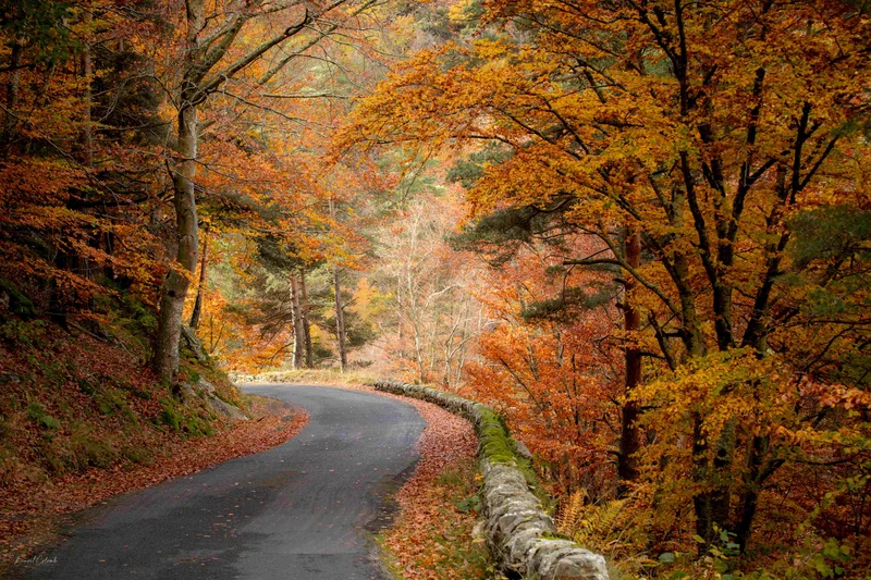 Vélo de route A la découverte de Saint Léger de Peyre