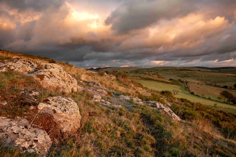 Vélo de route A la découverte de l'Aubrac, par Saint Urcize
