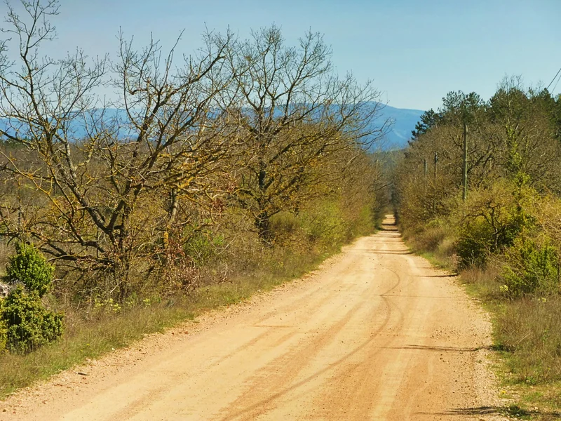 Vélo de route Gravel N°13 - Randonnée Gravel sur les pistes forestières du Larzac