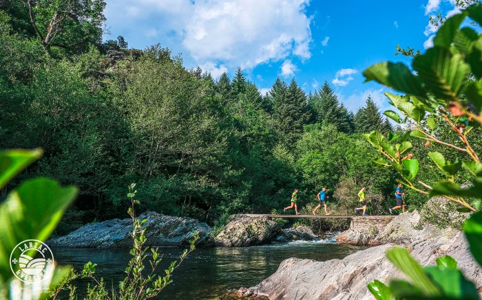 Trail Trail N°21 - Circuit Haute Dourbie