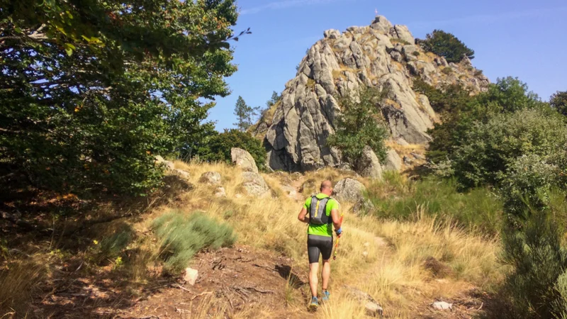 Trail Trail N°20 - St-Guiral Circus