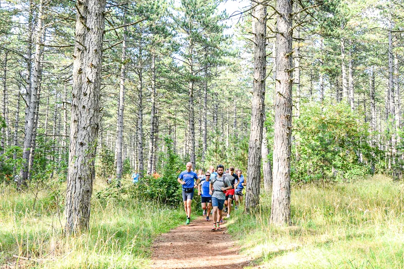 Trail Trail N°01 - Millau / Le Monna