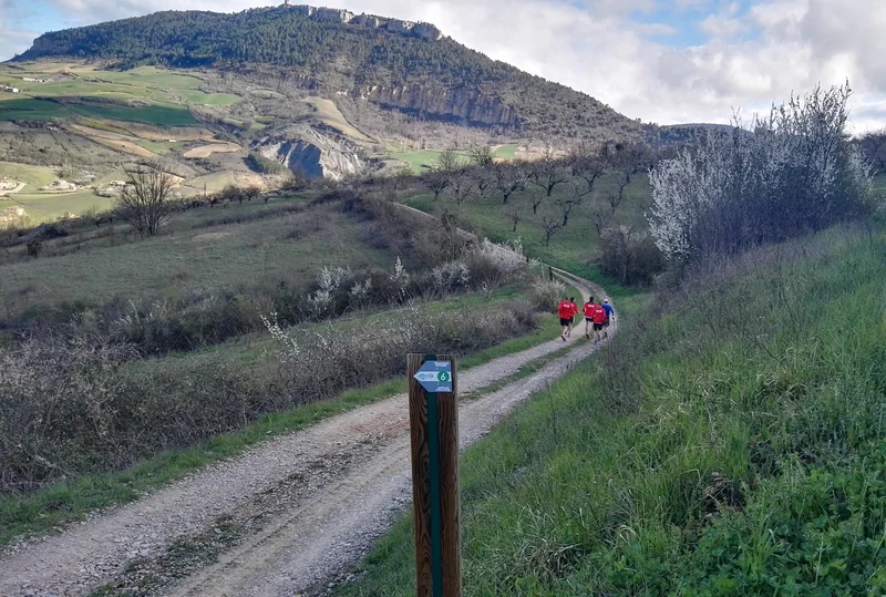 Trail Trail N°06 - La Cresse