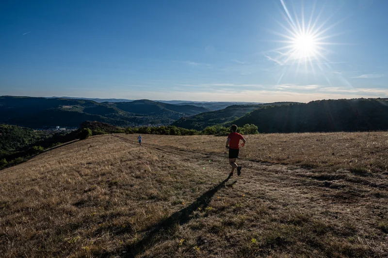 Trail Trail N°24 Saint-Affrique