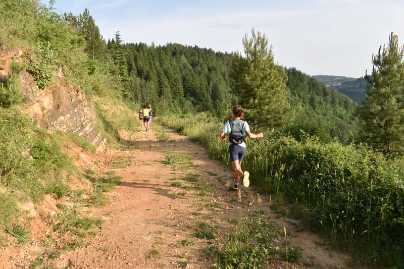 Trail Une escapade en forêt - Trail n°2