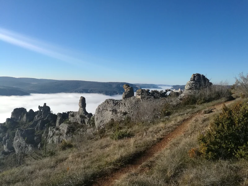 Trail Trail N°08 - La Roque-Sainte-Marguerite