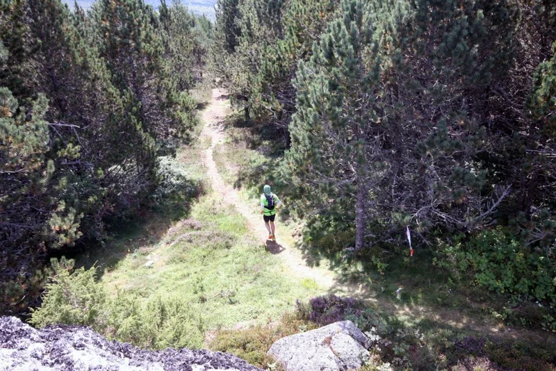 Trail Au coeur de la Margeride – Trail n°7