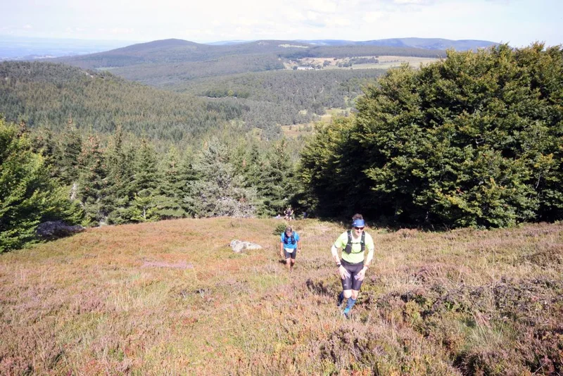 Trail Escapade au Mont Mouchet - Trail n°5
