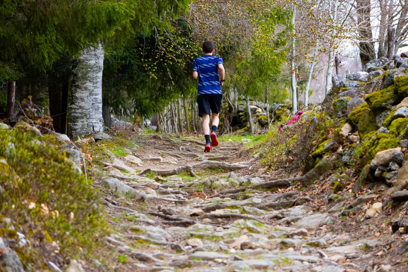 Trail Autour de Fournels - Trail n°31