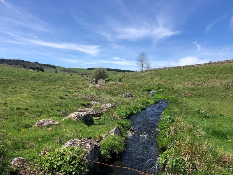 Trail De Nasbinals à Saint-Urcize- Trail n°45