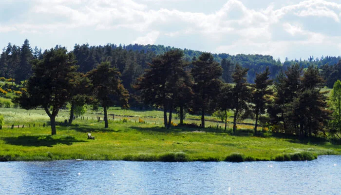 Trail Le Lac du Moulinet - Trail n°11